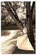 DSC_7367sepia.jpg