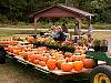 fall_harvest.jpg