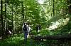 hikers8.jpg