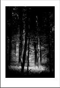 pgh_Creative_arts_show002.jpg