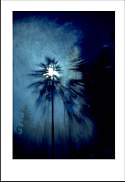 pgh_Creative_arts_show007.jpg