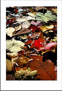pgh_Creative_arts_show009.jpg