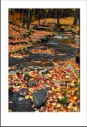 pgh_Creative_arts_show010.jpg