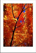 pgh_Creative_arts_show011.jpg