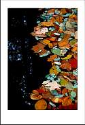 pgh_Creative_arts_show014.jpg