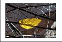 pgh_Creative_arts_show023.jpg