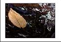 pgh_Creative_arts_show037.jpg