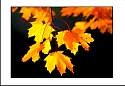 pgh_Creative_arts_show038.jpg