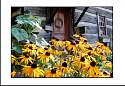 pgh_Creative_arts_show042.jpg