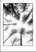 pgh_Creative_arts_show045.jpg