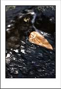 pgh_Creative_arts_show053.jpg