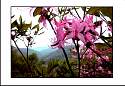 pgh_Creative_arts_show061.jpg