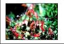 pgh_Creative_arts_show063.jpg