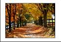 pgh_Creative_arts_show067.jpg
