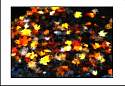 pgh_Creative_arts_show078.jpg