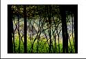pgh_Creative_arts_show113.jpg