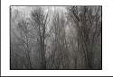 pgh_Creative_arts_show115.jpg