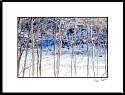 pgh_Creative_arts_show122.jpg
